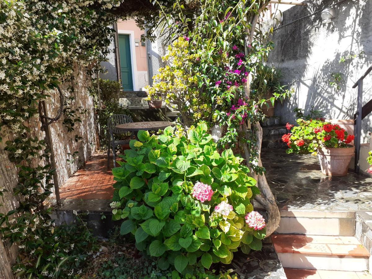 Raggio Di Luna Manarola Exterior photo